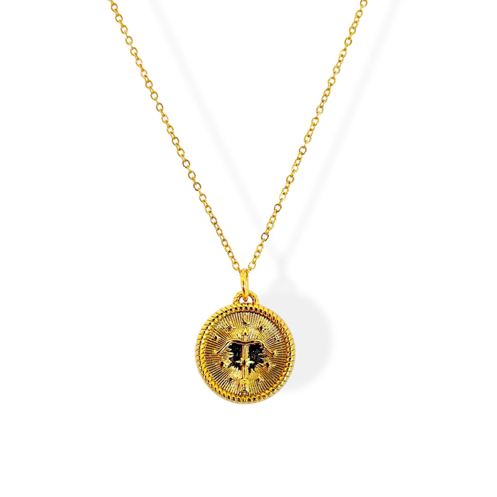 Cadena signo zodiacal constelación