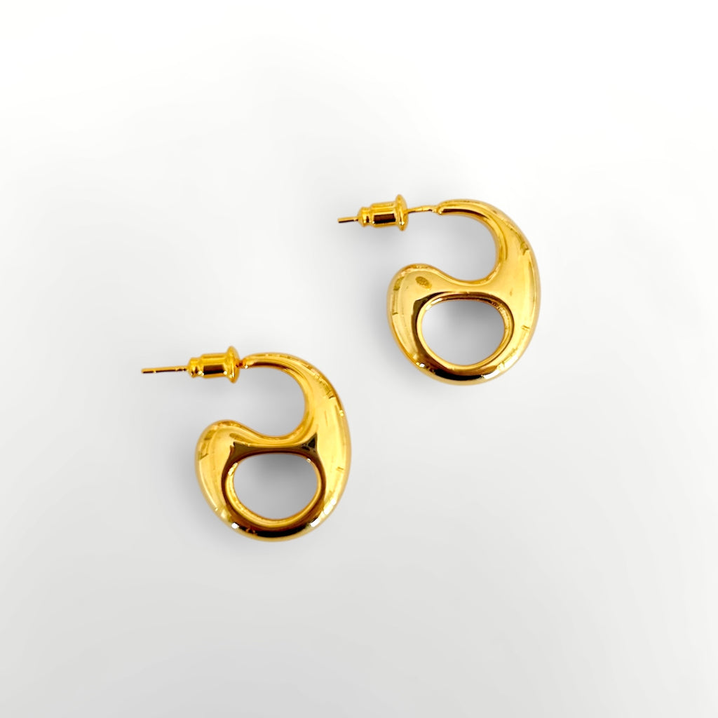 Anilla Earrings