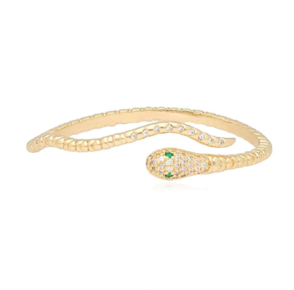 Snake bracelet